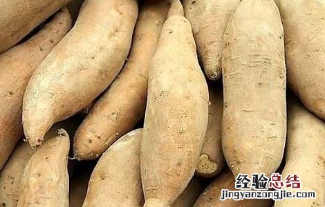 减肥吃红薯会发胖吗 吃红薯会发胖吗