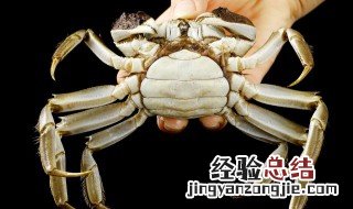 怎么清洗梭子蟹 怎样清洗梭子蟹更干净?