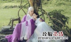 三生三世枕上书白滚滚第几集出生 男女主角色简介信息
