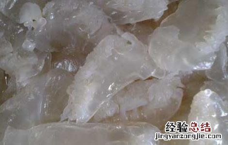 海蜇头保存方法视频 海蜇头保存方法