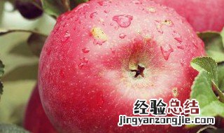 苹果派怎么做好吃 苹果派如何做好吃