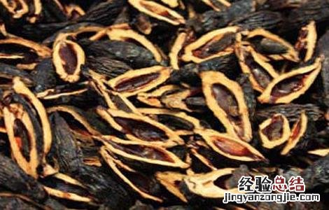 吃槟榔会影响生育吗 长期吃槟榔会影响生育吗