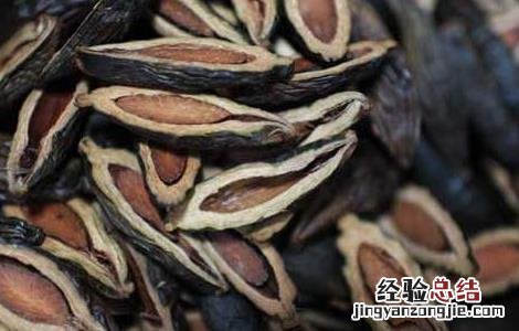 吃槟榔会影响生育吗 长期吃槟榔会影响生育吗