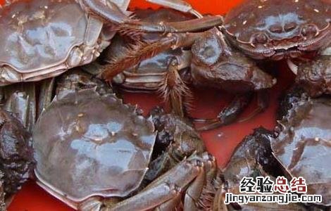 大闸蟹怎么洗才干净清蒸 大闸蟹怎么洗才干净