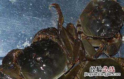 大闸蟹怎么洗才干净清蒸 大闸蟹怎么洗才干净