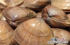 出珍珠的河蚌能吃吗 河蚌能吃吗