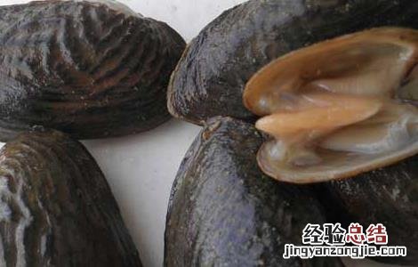 出珍珠的河蚌能吃吗 河蚌能吃吗