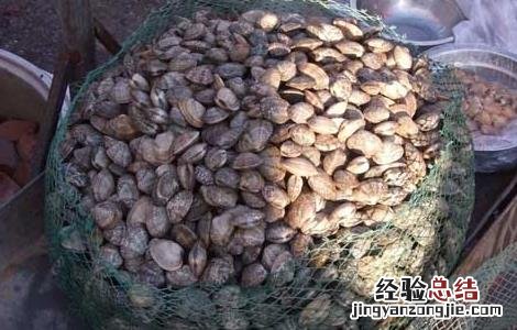 蛤蜊怎么洗干净