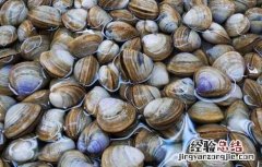 蛤蜊怎么洗干净