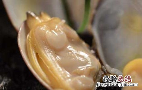 蛤蜊怎么洗干净