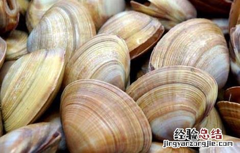 蛤蜊怎么洗干净