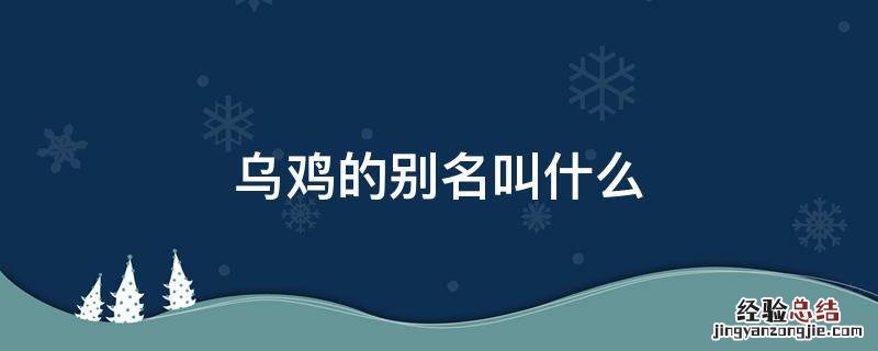 乌鸡的名字 乌鸡的别名叫什么