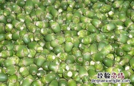 槟榔吃多了会怎么样 槟榔吃多了会怎么样口腔怎么改善
