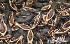 槟榔吃多了会怎么样 槟榔吃多了会怎么样口腔怎么改善