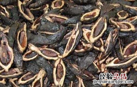 槟榔吃多了会怎么样 槟榔吃多了会怎么样口腔怎么改善