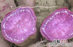 晚饭吃紫薯能减肥吗 吃紫薯能减肥吗