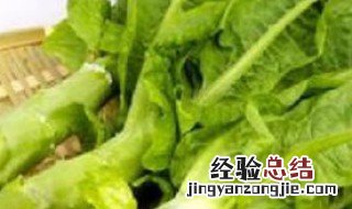莴笋叶子黄了怎么办 莴笋叶发黄怎么办