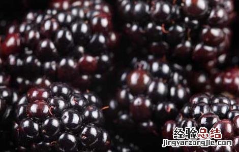 桑葚的保存方法 桑葚的保存方法视频