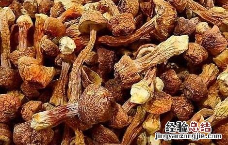 松茸的保存方法 松茸的保存方法先清洗还是先冷藏
