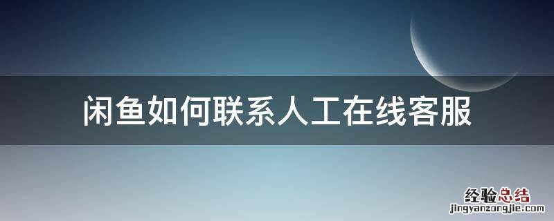 闲鱼怎么直接联系人工客服 闲鱼如何联系人工在线客服