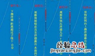 123号鱼漂的正确用法 详细讲解