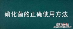 硝化菌的正确使用方法 液体硝化菌的正确使用方法