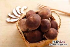 现在种植什么最赚钱一年见效 现在种植什么最赚钱