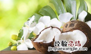 椰子树怎么传播种子 椰子树怎么传播种子按照植物妈妈有办法