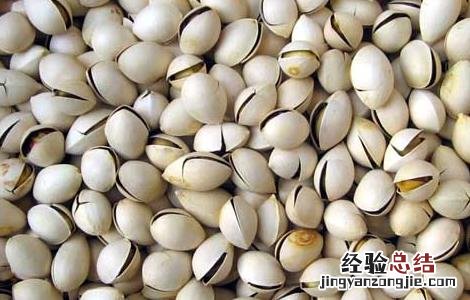 开心果为什么可以减肥 开心果能减肥吗