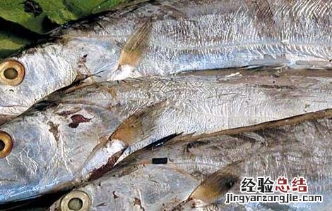 带鱼怎么收拾干净 带鱼怎么收拾干净视频