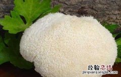 猴头菇的泡发方法 猴头菇的泡发方法窍门