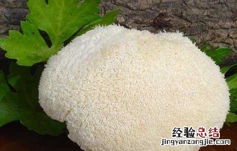 猴头菇的泡发方法 猴头菇的泡发方法窍门