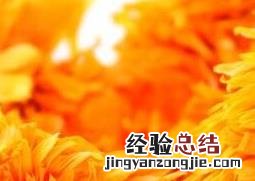 金盏花的药用价值 金盏花的药用功效