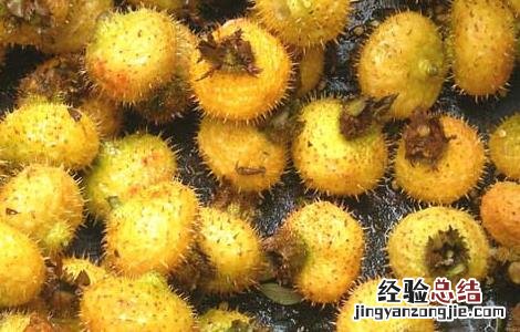 刺梨泡水喝的功效 刺梨泡水喝的功效和作用