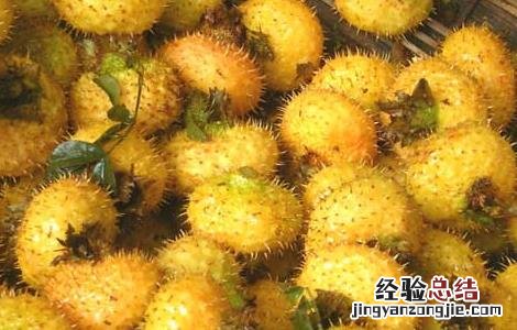 刺梨泡水喝的功效 刺梨泡水喝的功效和作用