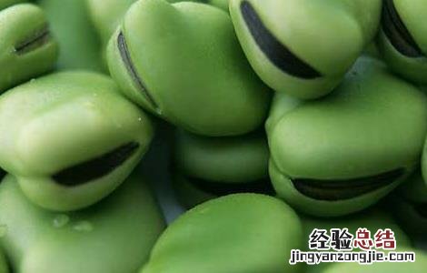 新鲜蚕豆的保存方法和时间 新鲜蚕豆的保存方法