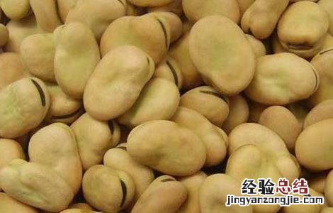 新鲜蚕豆的保存方法和时间 新鲜蚕豆的保存方法
