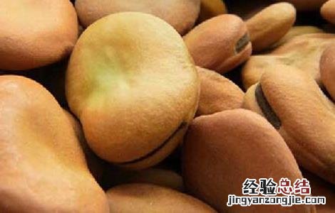 新鲜蚕豆的保存方法和时间 新鲜蚕豆的保存方法