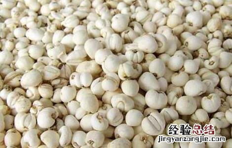 知母贝母的故事和启示感悟 知母贝母的故事和启示