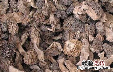 羊肚菌的泡发方法 羊肚菌怎么泡发最好