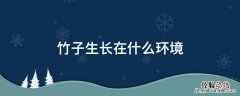 竹子生长在什么环境,有什么生长要求 竹子生长在什么环境
