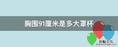 胸围91厘米是多大罩杯 胸围91厘米是多大罩杯下胸围80