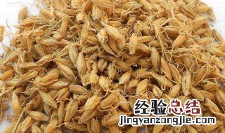 麦芽的功效与作用禁忌 百合的功效与作用禁忌