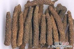荜茇的营养价值