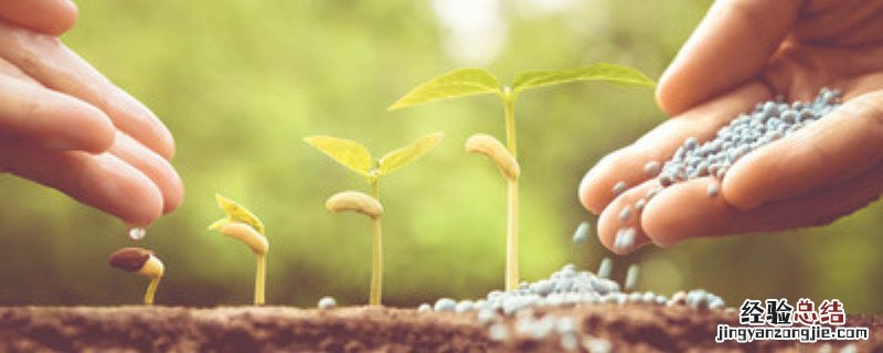 复合肥的作用与功效 噻虫胺复合肥的作用与功效