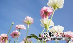 梦见蓝天白云天空好漂亮 梦见蓝天白云