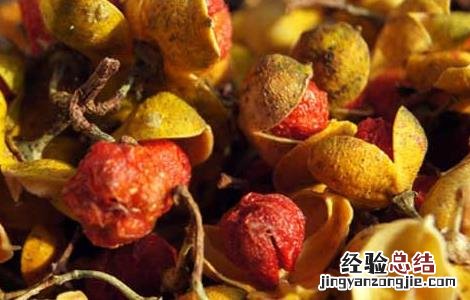 合欢花茶的功效与作用点 合欢花茶的功效与作用