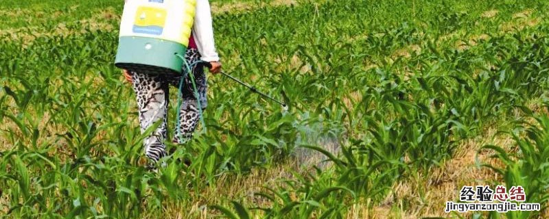 除草剂对土壤的危害 草甘膦除草剂对土壤的危害
