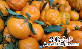 椪柑有点苦是怎么回事 橘子为什么是苦的