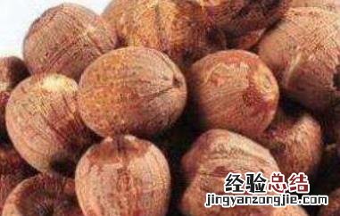 红莲子和白莲子的区别 红莲子和白莲子的区别图片